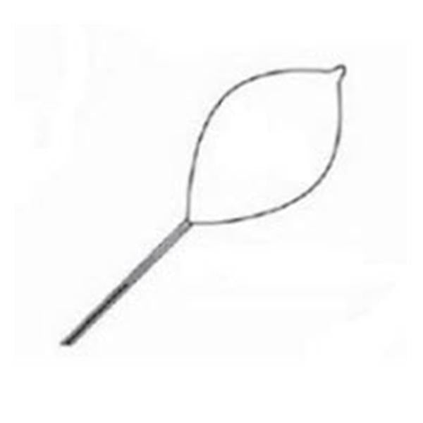 Snare Polypectomy Firm Loop Wire Oval 16mm Small 10/Ca